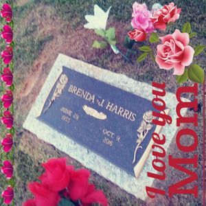 Meet your Posher, Numanikie